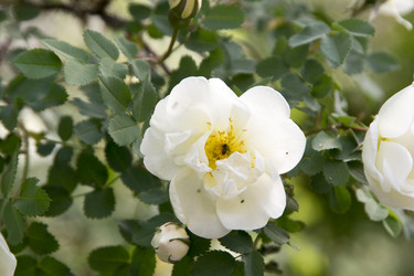 Similar image 6325718