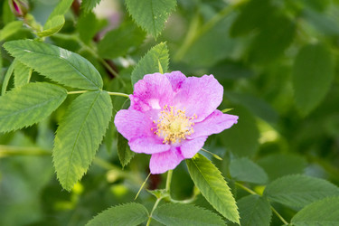 Similar image 6325721