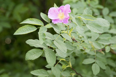 Similar image 6325723