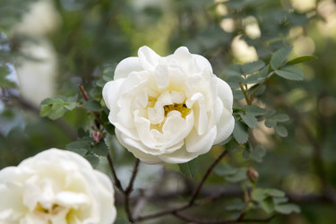 Similar image 6325725