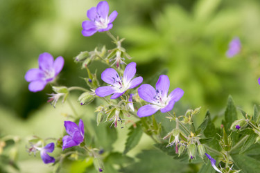 Similar image 6325727