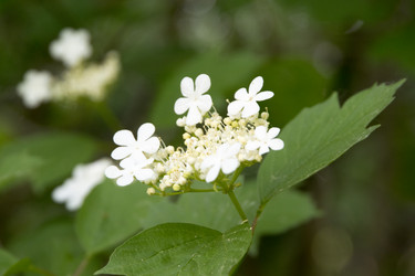 Similar image 6325728