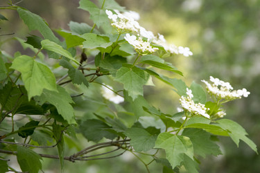 Similar image 6325741