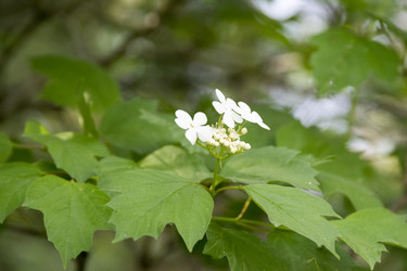 Similar image 6325745