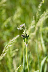 Similar image 6325751