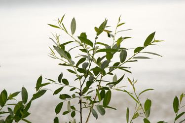 Similar image 6325756