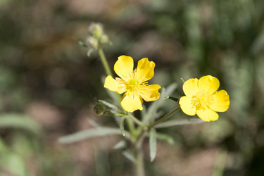 Similar image 6325770