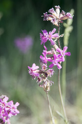 Similar image 6325771