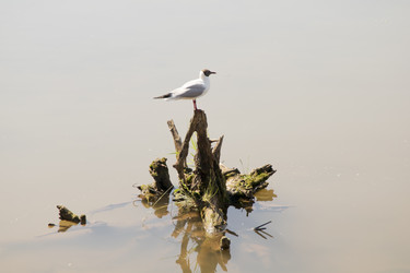 Similar image 6325776