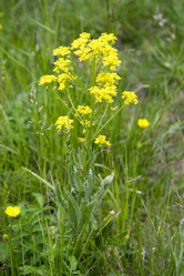 Similar image 6325777