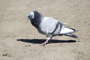 Similar image 6325780