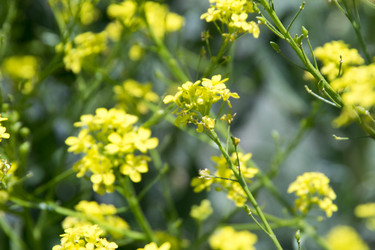 Similar image 6325782