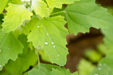 Similar image 6325795