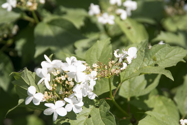 Similar image 6325799