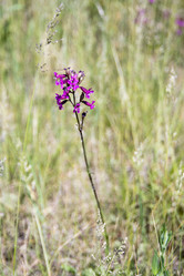 Similar image 6325803