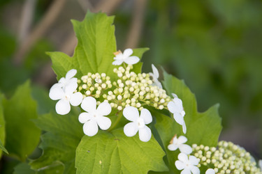 Similar image 6325809