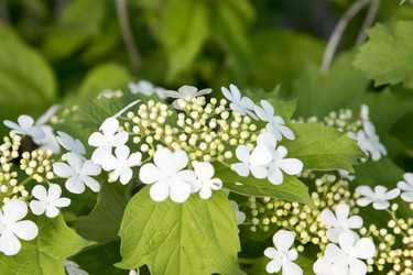 Similar image 6325817