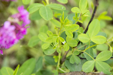 Similar image 6325819