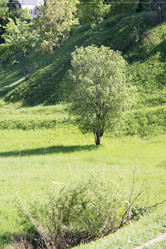 Similar image 6325830