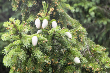 Similar image 6325842