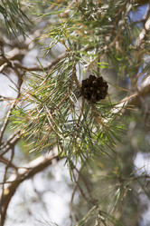 Similar image 6325843