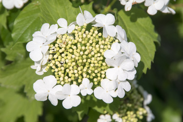 Similar image 6325850