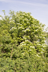 Similar image 6325851