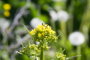 Similar image 6325852