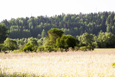 Similar image 6325853