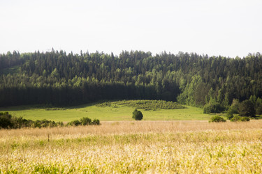 Similar image 6325854