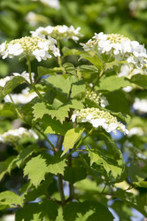 Similar image 6325858