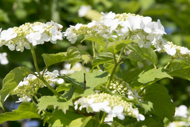 Similar image 6325895