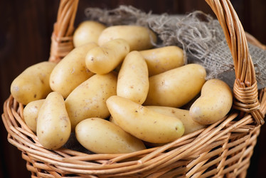 Similar image 6325991