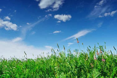 Similar image 6326026