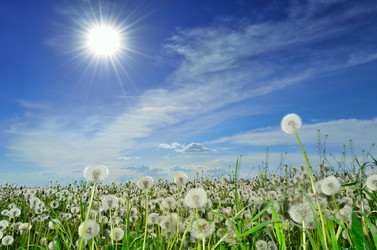 Similar image 6326027