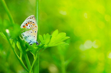 Similar image 6326028