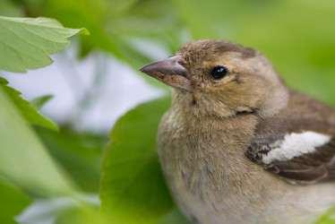 Similar image 6326180