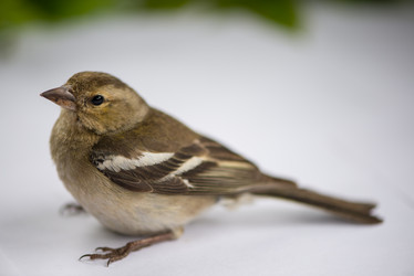 Similar image 6326181