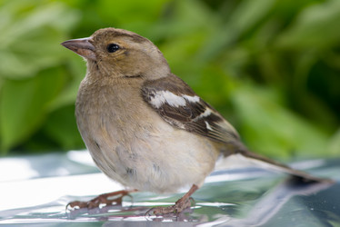 Similar image 6326185