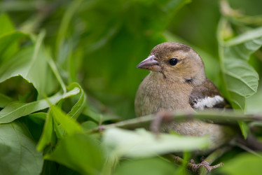 Similar image 6326186