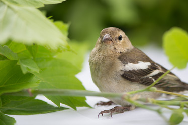 Similar image 6326193