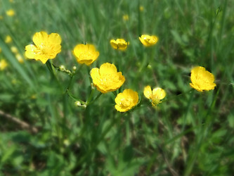 Similar image 6326274