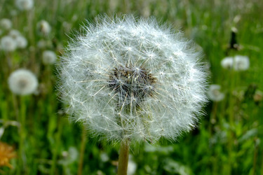 Similar image 6326275