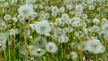 Similar image 6326276