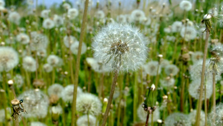 Similar image 6326277