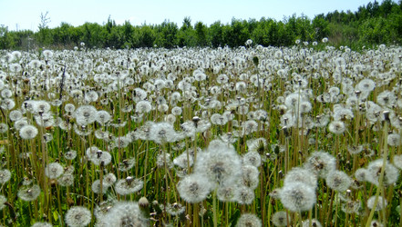 Similar image 6326279