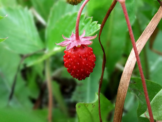 Similar image 6326297