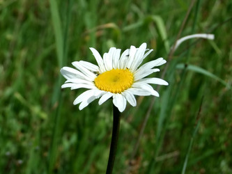 Similar image 6326300