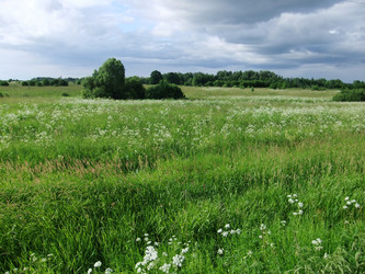 Similar image 6326302