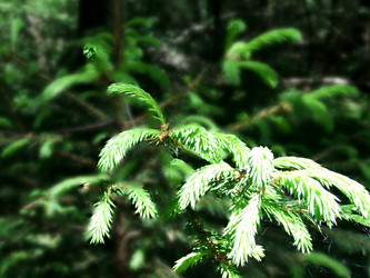 Similar image 6326307